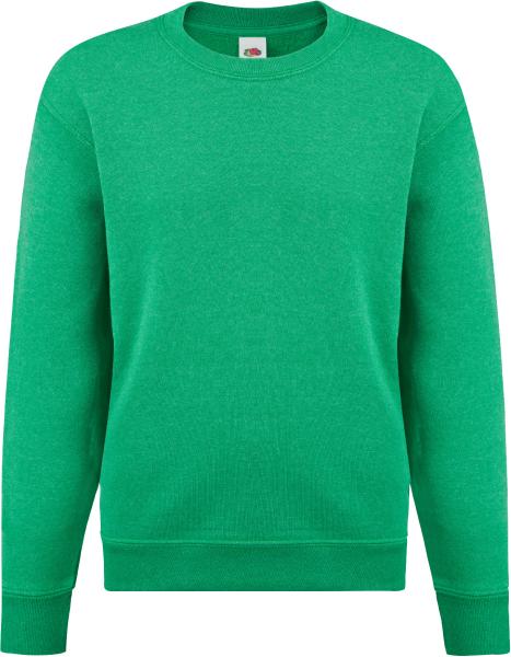  Dětská mikina F.O.L. Classic13