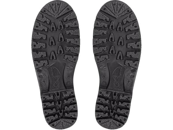 Holínka zimní Frosta5