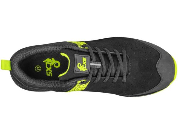 Polobotka CXS FIBELINE DORSATA O24