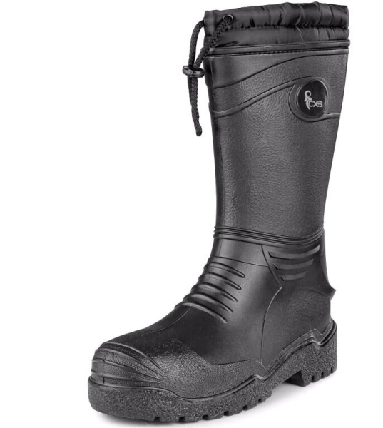 Holínka zimní Frosta0