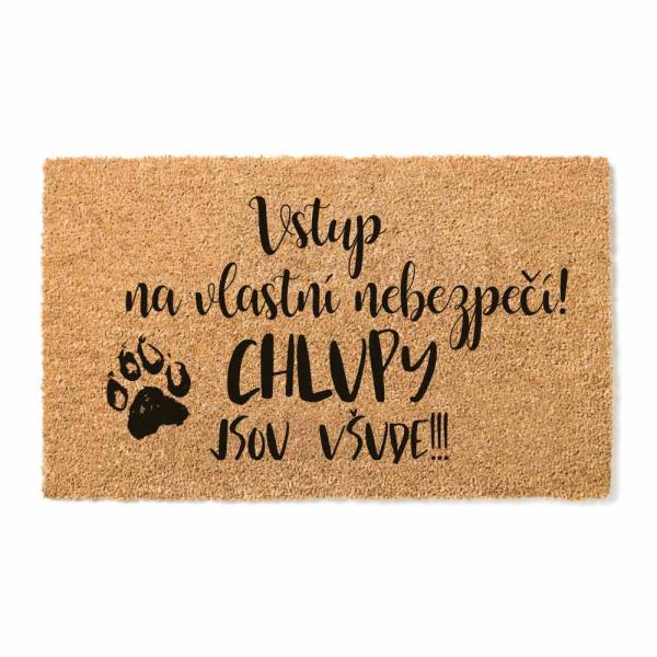 Rohožka 40 x 60 cm – Vstup na vlastní nebezpečí – chlupy0