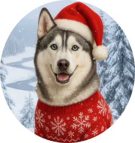 Zimní čepice Vánoční Sibiřšký husky1