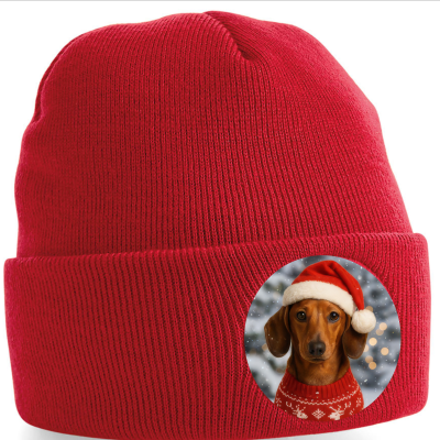 Zimní čepice Vánoční jezevčík3