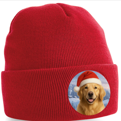 Zimní čepice Vánoční Zlatý retrívr3