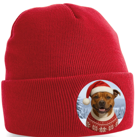 Zimní čepice Vánoční Staford3