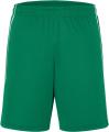 Týmové kraťasy Basic JN 3870