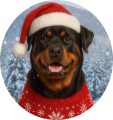Zimní čepice Vánoční Rotvajler1