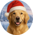 Zimní čepice Vánoční Zlatý retrívr1